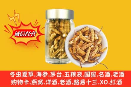 陵川县名酒回收散虫草.jpg