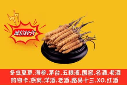 陵川县名酒回收冬虫夏草.jpg